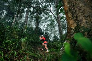 BIB: 
                            <button type="button" onclick="openModal(26209199)" class="btn btn-primary btn-sm float-right btn-popup" data-toggle="modal" data-target=".modal-high-quality">
                        <i class="fas fa-shopping-cart"></i> Add to Cart
                    </button>
                                            <button type="button" onclick="isThisMe(26209199, true)" class="btn btn-success btn-sm float-right btn-popup btn-isme hidden" data-toggle="tooltip" data-placement="bottom" title="นี่คือรูปของคุณใช่ไหม คลิกที่นี่เพื่อเอาเข้าอัลบั้ม">
                        <i class="fas fa-plus"></i> Add to album
                    </button>
                    <button type="button" onclick="isThisMe(26209199, false)" class="btn btn-warning btn-sm float-right btn-popup btn-isnotme hidden">
                        <i class="fas fa-ban"></i> Remove from album
                    </button>