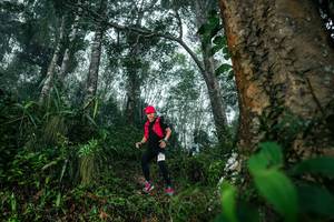 BIB: 
                            <button type="button" onclick="openModal(26209111)" class="btn btn-primary btn-sm float-right btn-popup" data-toggle="modal" data-target=".modal-high-quality">
                        <i class="fas fa-shopping-cart"></i> Add to Cart
                    </button>
                                            <button type="button" onclick="isThisMe(26209111, true)" class="btn btn-success btn-sm float-right btn-popup btn-isme hidden" data-toggle="tooltip" data-placement="bottom" title="นี่คือรูปของคุณใช่ไหม คลิกที่นี่เพื่อเอาเข้าอัลบั้ม">
                        <i class="fas fa-plus"></i> Add to album
                    </button>
                    <button type="button" onclick="isThisMe(26209111, false)" class="btn btn-warning btn-sm float-right btn-popup btn-isnotme hidden">
                        <i class="fas fa-ban"></i> Remove from album
                    </button>