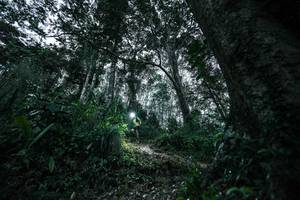 BIB: 
                            <button type="button" onclick="openModal(26209528)" class="btn btn-primary btn-sm float-right btn-popup" data-toggle="modal" data-target=".modal-high-quality">
                        <i class="fas fa-shopping-cart"></i> Add to Cart
                    </button>
                                            <button type="button" onclick="isThisMe(26209528, true)" class="btn btn-success btn-sm float-right btn-popup btn-isme hidden" data-toggle="tooltip" data-placement="bottom" title="นี่คือรูปของคุณใช่ไหม คลิกที่นี่เพื่อเอาเข้าอัลบั้ม">
                        <i class="fas fa-plus"></i> Add to album
                    </button>
                    <button type="button" onclick="isThisMe(26209528, false)" class="btn btn-warning btn-sm float-right btn-popup btn-isnotme hidden">
                        <i class="fas fa-ban"></i> Remove from album
                    </button>