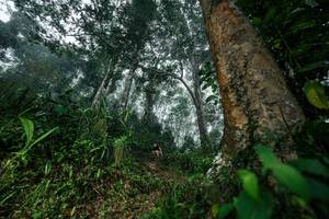 BIB: 
                            <button type="button" onclick="openModal(26209089)" class="btn btn-primary btn-sm float-right btn-popup" data-toggle="modal" data-target=".modal-high-quality">
                        <i class="fas fa-shopping-cart"></i> Add to Cart
                    </button>
                                            <button type="button" onclick="isThisMe(26209089, true)" class="btn btn-success btn-sm float-right btn-popup btn-isme hidden" data-toggle="tooltip" data-placement="bottom" title="นี่คือรูปของคุณใช่ไหม คลิกที่นี่เพื่อเอาเข้าอัลบั้ม">
                        <i class="fas fa-plus"></i> Add to album
                    </button>
                    <button type="button" onclick="isThisMe(26209089, false)" class="btn btn-warning btn-sm float-right btn-popup btn-isnotme hidden">
                        <i class="fas fa-ban"></i> Remove from album
                    </button>