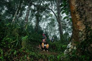 BIB: 
                            <button type="button" onclick="openModal(26209218)" class="btn btn-primary btn-sm float-right btn-popup" data-toggle="modal" data-target=".modal-high-quality">
                        <i class="fas fa-shopping-cart"></i> Add to Cart
                    </button>
                                            <button type="button" onclick="isThisMe(26209218, true)" class="btn btn-success btn-sm float-right btn-popup btn-isme hidden" data-toggle="tooltip" data-placement="bottom" title="นี่คือรูปของคุณใช่ไหม คลิกที่นี่เพื่อเอาเข้าอัลบั้ม">
                        <i class="fas fa-plus"></i> Add to album
                    </button>
                    <button type="button" onclick="isThisMe(26209218, false)" class="btn btn-warning btn-sm float-right btn-popup btn-isnotme hidden">
                        <i class="fas fa-ban"></i> Remove from album
                    </button>