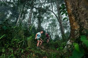 BIB: 
                            <button type="button" onclick="openModal(26209117)" class="btn btn-primary btn-sm float-right btn-popup" data-toggle="modal" data-target=".modal-high-quality">
                        <i class="fas fa-shopping-cart"></i> Add to Cart
                    </button>
                                            <button type="button" onclick="isThisMe(26209117, true)" class="btn btn-success btn-sm float-right btn-popup btn-isme hidden" data-toggle="tooltip" data-placement="bottom" title="นี่คือรูปของคุณใช่ไหม คลิกที่นี่เพื่อเอาเข้าอัลบั้ม">
                        <i class="fas fa-plus"></i> Add to album
                    </button>
                    <button type="button" onclick="isThisMe(26209117, false)" class="btn btn-warning btn-sm float-right btn-popup btn-isnotme hidden">
                        <i class="fas fa-ban"></i> Remove from album
                    </button>