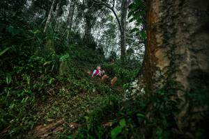 BIB: 
                            <button type="button" onclick="openModal(26208783)" class="btn btn-primary btn-sm float-right btn-popup" data-toggle="modal" data-target=".modal-high-quality">
                        <i class="fas fa-shopping-cart"></i> Add to Cart
                    </button>
                                            <button type="button" onclick="isThisMe(26208783, true)" class="btn btn-success btn-sm float-right btn-popup btn-isme hidden" data-toggle="tooltip" data-placement="bottom" title="นี่คือรูปของคุณใช่ไหม คลิกที่นี่เพื่อเอาเข้าอัลบั้ม">
                        <i class="fas fa-plus"></i> Add to album
                    </button>
                    <button type="button" onclick="isThisMe(26208783, false)" class="btn btn-warning btn-sm float-right btn-popup btn-isnotme hidden">
                        <i class="fas fa-ban"></i> Remove from album
                    </button>