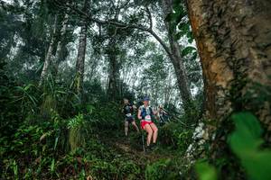 BIB: 
                            <button type="button" onclick="openModal(26209014)" class="btn btn-primary btn-sm float-right btn-popup" data-toggle="modal" data-target=".modal-high-quality">
                        <i class="fas fa-shopping-cart"></i> Add to Cart
                    </button>
                                            <button type="button" onclick="isThisMe(26209014, true)" class="btn btn-success btn-sm float-right btn-popup btn-isme hidden" data-toggle="tooltip" data-placement="bottom" title="นี่คือรูปของคุณใช่ไหม คลิกที่นี่เพื่อเอาเข้าอัลบั้ม">
                        <i class="fas fa-plus"></i> Add to album
                    </button>
                    <button type="button" onclick="isThisMe(26209014, false)" class="btn btn-warning btn-sm float-right btn-popup btn-isnotme hidden">
                        <i class="fas fa-ban"></i> Remove from album
                    </button>