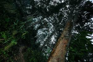 BIB: 
                            <button type="button" onclick="openModal(26209499)" class="btn btn-primary btn-sm float-right btn-popup" data-toggle="modal" data-target=".modal-high-quality">
                        <i class="fas fa-shopping-cart"></i> Add to Cart
                    </button>
                                            <button type="button" onclick="isThisMe(26209499, true)" class="btn btn-success btn-sm float-right btn-popup btn-isme hidden" data-toggle="tooltip" data-placement="bottom" title="นี่คือรูปของคุณใช่ไหม คลิกที่นี่เพื่อเอาเข้าอัลบั้ม">
                        <i class="fas fa-plus"></i> Add to album
                    </button>
                    <button type="button" onclick="isThisMe(26209499, false)" class="btn btn-warning btn-sm float-right btn-popup btn-isnotme hidden">
                        <i class="fas fa-ban"></i> Remove from album
                    </button>