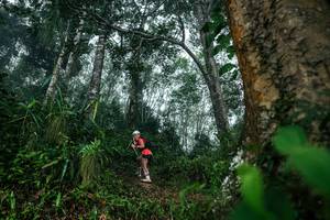 BIB: 
                            <button type="button" onclick="openModal(26209189)" class="btn btn-primary btn-sm float-right btn-popup" data-toggle="modal" data-target=".modal-high-quality">
                        <i class="fas fa-shopping-cart"></i> Add to Cart
                    </button>
                                            <button type="button" onclick="isThisMe(26209189, true)" class="btn btn-success btn-sm float-right btn-popup btn-isme hidden" data-toggle="tooltip" data-placement="bottom" title="นี่คือรูปของคุณใช่ไหม คลิกที่นี่เพื่อเอาเข้าอัลบั้ม">
                        <i class="fas fa-plus"></i> Add to album
                    </button>
                    <button type="button" onclick="isThisMe(26209189, false)" class="btn btn-warning btn-sm float-right btn-popup btn-isnotme hidden">
                        <i class="fas fa-ban"></i> Remove from album
                    </button>