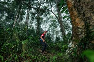 BIB: 
                            <button type="button" onclick="openModal(26208964)" class="btn btn-primary btn-sm float-right btn-popup" data-toggle="modal" data-target=".modal-high-quality">
                        <i class="fas fa-shopping-cart"></i> Add to Cart
                    </button>
                                            <button type="button" onclick="isThisMe(26208964, true)" class="btn btn-success btn-sm float-right btn-popup btn-isme hidden" data-toggle="tooltip" data-placement="bottom" title="นี่คือรูปของคุณใช่ไหม คลิกที่นี่เพื่อเอาเข้าอัลบั้ม">
                        <i class="fas fa-plus"></i> Add to album
                    </button>
                    <button type="button" onclick="isThisMe(26208964, false)" class="btn btn-warning btn-sm float-right btn-popup btn-isnotme hidden">
                        <i class="fas fa-ban"></i> Remove from album
                    </button>