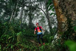 BIB: 
                            <button type="button" onclick="openModal(26208968)" class="btn btn-primary btn-sm float-right btn-popup" data-toggle="modal" data-target=".modal-high-quality">
                        <i class="fas fa-shopping-cart"></i> Add to Cart
                    </button>
                                            <button type="button" onclick="isThisMe(26208968, true)" class="btn btn-success btn-sm float-right btn-popup btn-isme hidden" data-toggle="tooltip" data-placement="bottom" title="นี่คือรูปของคุณใช่ไหม คลิกที่นี่เพื่อเอาเข้าอัลบั้ม">
                        <i class="fas fa-plus"></i> Add to album
                    </button>
                    <button type="button" onclick="isThisMe(26208968, false)" class="btn btn-warning btn-sm float-right btn-popup btn-isnotme hidden">
                        <i class="fas fa-ban"></i> Remove from album
                    </button>