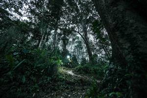 BIB: 
                            <button type="button" onclick="openModal(26209525)" class="btn btn-primary btn-sm float-right btn-popup" data-toggle="modal" data-target=".modal-high-quality">
                        <i class="fas fa-shopping-cart"></i> Add to Cart
                    </button>
                                            <button type="button" onclick="isThisMe(26209525, true)" class="btn btn-success btn-sm float-right btn-popup btn-isme hidden" data-toggle="tooltip" data-placement="bottom" title="นี่คือรูปของคุณใช่ไหม คลิกที่นี่เพื่อเอาเข้าอัลบั้ม">
                        <i class="fas fa-plus"></i> Add to album
                    </button>
                    <button type="button" onclick="isThisMe(26209525, false)" class="btn btn-warning btn-sm float-right btn-popup btn-isnotme hidden">
                        <i class="fas fa-ban"></i> Remove from album
                    </button>