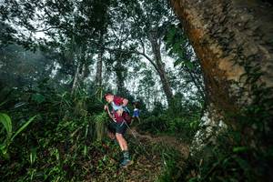 BIB: 
                            <button type="button" onclick="openModal(26209374)" class="btn btn-primary btn-sm float-right btn-popup" data-toggle="modal" data-target=".modal-high-quality">
                        <i class="fas fa-shopping-cart"></i> Add to Cart
                    </button>
                                            <button type="button" onclick="isThisMe(26209374, true)" class="btn btn-success btn-sm float-right btn-popup btn-isme hidden" data-toggle="tooltip" data-placement="bottom" title="นี่คือรูปของคุณใช่ไหม คลิกที่นี่เพื่อเอาเข้าอัลบั้ม">
                        <i class="fas fa-plus"></i> Add to album
                    </button>
                    <button type="button" onclick="isThisMe(26209374, false)" class="btn btn-warning btn-sm float-right btn-popup btn-isnotme hidden">
                        <i class="fas fa-ban"></i> Remove from album
                    </button>