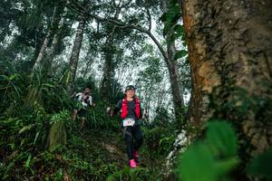 BIB: 
                            <button type="button" onclick="openModal(26208987)" class="btn btn-primary btn-sm float-right btn-popup" data-toggle="modal" data-target=".modal-high-quality">
                        <i class="fas fa-shopping-cart"></i> Add to Cart
                    </button>
                                            <button type="button" onclick="isThisMe(26208987, true)" class="btn btn-success btn-sm float-right btn-popup btn-isme hidden" data-toggle="tooltip" data-placement="bottom" title="นี่คือรูปของคุณใช่ไหม คลิกที่นี่เพื่อเอาเข้าอัลบั้ม">
                        <i class="fas fa-plus"></i> Add to album
                    </button>
                    <button type="button" onclick="isThisMe(26208987, false)" class="btn btn-warning btn-sm float-right btn-popup btn-isnotme hidden">
                        <i class="fas fa-ban"></i> Remove from album
                    </button>