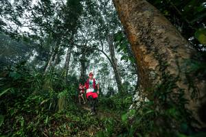 BIB: 
                            <button type="button" onclick="openModal(26208936)" class="btn btn-primary btn-sm float-right btn-popup" data-toggle="modal" data-target=".modal-high-quality">
                        <i class="fas fa-shopping-cart"></i> Add to Cart
                    </button>
                                            <button type="button" onclick="isThisMe(26208936, true)" class="btn btn-success btn-sm float-right btn-popup btn-isme hidden" data-toggle="tooltip" data-placement="bottom" title="นี่คือรูปของคุณใช่ไหม คลิกที่นี่เพื่อเอาเข้าอัลบั้ม">
                        <i class="fas fa-plus"></i> Add to album
                    </button>
                    <button type="button" onclick="isThisMe(26208936, false)" class="btn btn-warning btn-sm float-right btn-popup btn-isnotme hidden">
                        <i class="fas fa-ban"></i> Remove from album
                    </button>