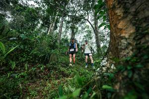 BIB: 
                            <button type="button" onclick="openModal(26208445)" class="btn btn-primary btn-sm float-right btn-popup" data-toggle="modal" data-target=".modal-high-quality">
                        <i class="fas fa-shopping-cart"></i> Add to Cart
                    </button>
                                            <button type="button" onclick="isThisMe(26208445, true)" class="btn btn-success btn-sm float-right btn-popup btn-isme hidden" data-toggle="tooltip" data-placement="bottom" title="นี่คือรูปของคุณใช่ไหม คลิกที่นี่เพื่อเอาเข้าอัลบั้ม">
                        <i class="fas fa-plus"></i> Add to album
                    </button>
                    <button type="button" onclick="isThisMe(26208445, false)" class="btn btn-warning btn-sm float-right btn-popup btn-isnotme hidden">
                        <i class="fas fa-ban"></i> Remove from album
                    </button>