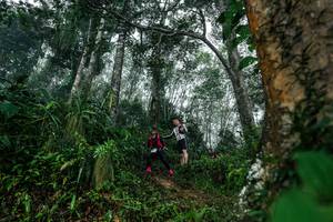 BIB: 
                            <button type="button" onclick="openModal(26208979)" class="btn btn-primary btn-sm float-right btn-popup" data-toggle="modal" data-target=".modal-high-quality">
                        <i class="fas fa-shopping-cart"></i> Add to Cart
                    </button>
                                            <button type="button" onclick="isThisMe(26208979, true)" class="btn btn-success btn-sm float-right btn-popup btn-isme hidden" data-toggle="tooltip" data-placement="bottom" title="นี่คือรูปของคุณใช่ไหม คลิกที่นี่เพื่อเอาเข้าอัลบั้ม">
                        <i class="fas fa-plus"></i> Add to album
                    </button>
                    <button type="button" onclick="isThisMe(26208979, false)" class="btn btn-warning btn-sm float-right btn-popup btn-isnotme hidden">
                        <i class="fas fa-ban"></i> Remove from album
                    </button>