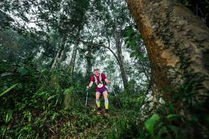 BIB: 
                            <button type="button" onclick="openModal(26208868)" class="btn btn-primary btn-sm float-right btn-popup" data-toggle="modal" data-target=".modal-high-quality">
                        <i class="fas fa-shopping-cart"></i> Add to Cart
                    </button>
                                            <button type="button" onclick="isThisMe(26208868, true)" class="btn btn-success btn-sm float-right btn-popup btn-isme hidden" data-toggle="tooltip" data-placement="bottom" title="นี่คือรูปของคุณใช่ไหม คลิกที่นี่เพื่อเอาเข้าอัลบั้ม">
                        <i class="fas fa-plus"></i> Add to album
                    </button>
                    <button type="button" onclick="isThisMe(26208868, false)" class="btn btn-warning btn-sm float-right btn-popup btn-isnotme hidden">
                        <i class="fas fa-ban"></i> Remove from album
                    </button>