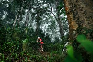 BIB: 
                            <button type="button" onclick="openModal(26209193)" class="btn btn-primary btn-sm float-right btn-popup" data-toggle="modal" data-target=".modal-high-quality">
                        <i class="fas fa-shopping-cart"></i> Add to Cart
                    </button>
                                            <button type="button" onclick="isThisMe(26209193, true)" class="btn btn-success btn-sm float-right btn-popup btn-isme hidden" data-toggle="tooltip" data-placement="bottom" title="นี่คือรูปของคุณใช่ไหม คลิกที่นี่เพื่อเอาเข้าอัลบั้ม">
                        <i class="fas fa-plus"></i> Add to album
                    </button>
                    <button type="button" onclick="isThisMe(26209193, false)" class="btn btn-warning btn-sm float-right btn-popup btn-isnotme hidden">
                        <i class="fas fa-ban"></i> Remove from album
                    </button>