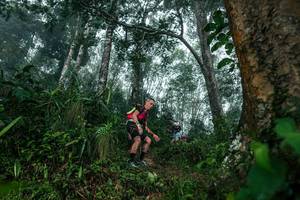 BIB: 
                            <button type="button" onclick="openModal(26209126)" class="btn btn-primary btn-sm float-right btn-popup" data-toggle="modal" data-target=".modal-high-quality">
                        <i class="fas fa-shopping-cart"></i> Add to Cart
                    </button>
                                            <button type="button" onclick="isThisMe(26209126, true)" class="btn btn-success btn-sm float-right btn-popup btn-isme hidden" data-toggle="tooltip" data-placement="bottom" title="นี่คือรูปของคุณใช่ไหม คลิกที่นี่เพื่อเอาเข้าอัลบั้ม">
                        <i class="fas fa-plus"></i> Add to album
                    </button>
                    <button type="button" onclick="isThisMe(26209126, false)" class="btn btn-warning btn-sm float-right btn-popup btn-isnotme hidden">
                        <i class="fas fa-ban"></i> Remove from album
                    </button>