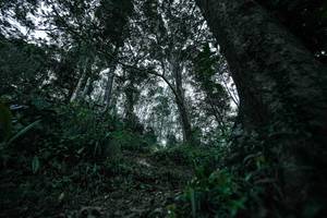 BIB: 
                            <button type="button" onclick="openModal(26209512)" class="btn btn-primary btn-sm float-right btn-popup" data-toggle="modal" data-target=".modal-high-quality">
                        <i class="fas fa-shopping-cart"></i> Add to Cart
                    </button>
                                            <button type="button" onclick="isThisMe(26209512, true)" class="btn btn-success btn-sm float-right btn-popup btn-isme hidden" data-toggle="tooltip" data-placement="bottom" title="นี่คือรูปของคุณใช่ไหม คลิกที่นี่เพื่อเอาเข้าอัลบั้ม">
                        <i class="fas fa-plus"></i> Add to album
                    </button>
                    <button type="button" onclick="isThisMe(26209512, false)" class="btn btn-warning btn-sm float-right btn-popup btn-isnotme hidden">
                        <i class="fas fa-ban"></i> Remove from album
                    </button>