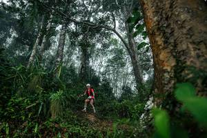 BIB: 
                            <button type="button" onclick="openModal(26209186)" class="btn btn-primary btn-sm float-right btn-popup" data-toggle="modal" data-target=".modal-high-quality">
                        <i class="fas fa-shopping-cart"></i> Add to Cart
                    </button>
                                            <button type="button" onclick="isThisMe(26209186, true)" class="btn btn-success btn-sm float-right btn-popup btn-isme hidden" data-toggle="tooltip" data-placement="bottom" title="นี่คือรูปของคุณใช่ไหม คลิกที่นี่เพื่อเอาเข้าอัลบั้ม">
                        <i class="fas fa-plus"></i> Add to album
                    </button>
                    <button type="button" onclick="isThisMe(26209186, false)" class="btn btn-warning btn-sm float-right btn-popup btn-isnotme hidden">
                        <i class="fas fa-ban"></i> Remove from album
                    </button>