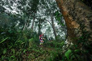 BIB: 
                            <button type="button" onclick="openModal(26208860)" class="btn btn-primary btn-sm float-right btn-popup" data-toggle="modal" data-target=".modal-high-quality">
                        <i class="fas fa-shopping-cart"></i> Add to Cart
                    </button>
                                            <button type="button" onclick="isThisMe(26208860, true)" class="btn btn-success btn-sm float-right btn-popup btn-isme hidden" data-toggle="tooltip" data-placement="bottom" title="นี่คือรูปของคุณใช่ไหม คลิกที่นี่เพื่อเอาเข้าอัลบั้ม">
                        <i class="fas fa-plus"></i> Add to album
                    </button>
                    <button type="button" onclick="isThisMe(26208860, false)" class="btn btn-warning btn-sm float-right btn-popup btn-isnotme hidden">
                        <i class="fas fa-ban"></i> Remove from album
                    </button>