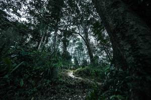 BIB: 
                            <button type="button" onclick="openModal(26209520)" class="btn btn-primary btn-sm float-right btn-popup" data-toggle="modal" data-target=".modal-high-quality">
                        <i class="fas fa-shopping-cart"></i> Add to Cart
                    </button>
                                            <button type="button" onclick="isThisMe(26209520, true)" class="btn btn-success btn-sm float-right btn-popup btn-isme hidden" data-toggle="tooltip" data-placement="bottom" title="นี่คือรูปของคุณใช่ไหม คลิกที่นี่เพื่อเอาเข้าอัลบั้ม">
                        <i class="fas fa-plus"></i> Add to album
                    </button>
                    <button type="button" onclick="isThisMe(26209520, false)" class="btn btn-warning btn-sm float-right btn-popup btn-isnotme hidden">
                        <i class="fas fa-ban"></i> Remove from album
                    </button>