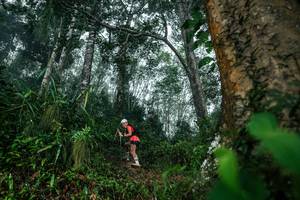 BIB: 
                            <button type="button" onclick="openModal(26209192)" class="btn btn-primary btn-sm float-right btn-popup" data-toggle="modal" data-target=".modal-high-quality">
                        <i class="fas fa-shopping-cart"></i> Add to Cart
                    </button>
                                            <button type="button" onclick="isThisMe(26209192, true)" class="btn btn-success btn-sm float-right btn-popup btn-isme hidden" data-toggle="tooltip" data-placement="bottom" title="นี่คือรูปของคุณใช่ไหม คลิกที่นี่เพื่อเอาเข้าอัลบั้ม">
                        <i class="fas fa-plus"></i> Add to album
                    </button>
                    <button type="button" onclick="isThisMe(26209192, false)" class="btn btn-warning btn-sm float-right btn-popup btn-isnotme hidden">
                        <i class="fas fa-ban"></i> Remove from album
                    </button>