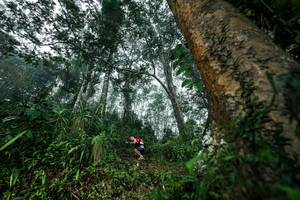 BIB: 
                            <button type="button" onclick="openModal(26208910)" class="btn btn-primary btn-sm float-right btn-popup" data-toggle="modal" data-target=".modal-high-quality">
                        <i class="fas fa-shopping-cart"></i> Add to Cart
                    </button>
                                            <button type="button" onclick="isThisMe(26208910, true)" class="btn btn-success btn-sm float-right btn-popup btn-isme hidden" data-toggle="tooltip" data-placement="bottom" title="นี่คือรูปของคุณใช่ไหม คลิกที่นี่เพื่อเอาเข้าอัลบั้ม">
                        <i class="fas fa-plus"></i> Add to album
                    </button>
                    <button type="button" onclick="isThisMe(26208910, false)" class="btn btn-warning btn-sm float-right btn-popup btn-isnotme hidden">
                        <i class="fas fa-ban"></i> Remove from album
                    </button>