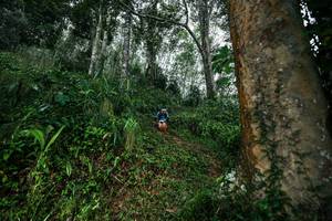 BIB: 
                            <button type="button" onclick="openModal(26208571)" class="btn btn-primary btn-sm float-right btn-popup" data-toggle="modal" data-target=".modal-high-quality">
                        <i class="fas fa-shopping-cart"></i> Add to Cart
                    </button>
                                            <button type="button" onclick="isThisMe(26208571, true)" class="btn btn-success btn-sm float-right btn-popup btn-isme hidden" data-toggle="tooltip" data-placement="bottom" title="นี่คือรูปของคุณใช่ไหม คลิกที่นี่เพื่อเอาเข้าอัลบั้ม">
                        <i class="fas fa-plus"></i> Add to album
                    </button>
                    <button type="button" onclick="isThisMe(26208571, false)" class="btn btn-warning btn-sm float-right btn-popup btn-isnotme hidden">
                        <i class="fas fa-ban"></i> Remove from album
                    </button>