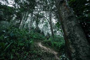 BIB: 
                            <button type="button" onclick="openModal(26209501)" class="btn btn-primary btn-sm float-right btn-popup" data-toggle="modal" data-target=".modal-high-quality">
                        <i class="fas fa-shopping-cart"></i> Add to Cart
                    </button>
                                            <button type="button" onclick="isThisMe(26209501, true)" class="btn btn-success btn-sm float-right btn-popup btn-isme hidden" data-toggle="tooltip" data-placement="bottom" title="นี่คือรูปของคุณใช่ไหม คลิกที่นี่เพื่อเอาเข้าอัลบั้ม">
                        <i class="fas fa-plus"></i> Add to album
                    </button>
                    <button type="button" onclick="isThisMe(26209501, false)" class="btn btn-warning btn-sm float-right btn-popup btn-isnotme hidden">
                        <i class="fas fa-ban"></i> Remove from album
                    </button>