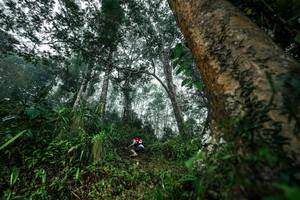 BIB: 
                            <button type="button" onclick="openModal(26208907)" class="btn btn-primary btn-sm float-right btn-popup" data-toggle="modal" data-target=".modal-high-quality">
                        <i class="fas fa-shopping-cart"></i> Add to Cart
                    </button>
                                            <button type="button" onclick="isThisMe(26208907, true)" class="btn btn-success btn-sm float-right btn-popup btn-isme hidden" data-toggle="tooltip" data-placement="bottom" title="นี่คือรูปของคุณใช่ไหม คลิกที่นี่เพื่อเอาเข้าอัลบั้ม">
                        <i class="fas fa-plus"></i> Add to album
                    </button>
                    <button type="button" onclick="isThisMe(26208907, false)" class="btn btn-warning btn-sm float-right btn-popup btn-isnotme hidden">
                        <i class="fas fa-ban"></i> Remove from album
                    </button>