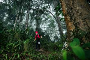 BIB: 
                            <button type="button" onclick="openModal(26209108)" class="btn btn-primary btn-sm float-right btn-popup" data-toggle="modal" data-target=".modal-high-quality">
                        <i class="fas fa-shopping-cart"></i> Add to Cart
                    </button>
                                            <button type="button" onclick="isThisMe(26209108, true)" class="btn btn-success btn-sm float-right btn-popup btn-isme hidden" data-toggle="tooltip" data-placement="bottom" title="นี่คือรูปของคุณใช่ไหม คลิกที่นี่เพื่อเอาเข้าอัลบั้ม">
                        <i class="fas fa-plus"></i> Add to album
                    </button>
                    <button type="button" onclick="isThisMe(26209108, false)" class="btn btn-warning btn-sm float-right btn-popup btn-isnotme hidden">
                        <i class="fas fa-ban"></i> Remove from album
                    </button>