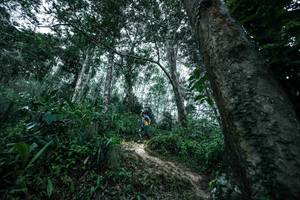 BIB: 
                            <button type="button" onclick="openModal(26209506)" class="btn btn-primary btn-sm float-right btn-popup" data-toggle="modal" data-target=".modal-high-quality">
                        <i class="fas fa-shopping-cart"></i> Add to Cart
                    </button>
                                            <button type="button" onclick="isThisMe(26209506, true)" class="btn btn-success btn-sm float-right btn-popup btn-isme hidden" data-toggle="tooltip" data-placement="bottom" title="นี่คือรูปของคุณใช่ไหม คลิกที่นี่เพื่อเอาเข้าอัลบั้ม">
                        <i class="fas fa-plus"></i> Add to album
                    </button>
                    <button type="button" onclick="isThisMe(26209506, false)" class="btn btn-warning btn-sm float-right btn-popup btn-isnotme hidden">
                        <i class="fas fa-ban"></i> Remove from album
                    </button>