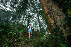 BIB: 
                            <button type="button" onclick="openModal(26208933)" class="btn btn-primary btn-sm float-right btn-popup" data-toggle="modal" data-target=".modal-high-quality">
                        <i class="fas fa-shopping-cart"></i> Add to Cart
                    </button>
                                            <button type="button" onclick="isThisMe(26208933, true)" class="btn btn-success btn-sm float-right btn-popup btn-isme hidden" data-toggle="tooltip" data-placement="bottom" title="นี่คือรูปของคุณใช่ไหม คลิกที่นี่เพื่อเอาเข้าอัลบั้ม">
                        <i class="fas fa-plus"></i> Add to album
                    </button>
                    <button type="button" onclick="isThisMe(26208933, false)" class="btn btn-warning btn-sm float-right btn-popup btn-isnotme hidden">
                        <i class="fas fa-ban"></i> Remove from album
                    </button>