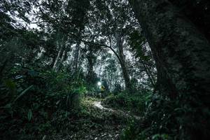 BIB: 
                            <button type="button" onclick="openModal(26209523)" class="btn btn-primary btn-sm float-right btn-popup" data-toggle="modal" data-target=".modal-high-quality">
                        <i class="fas fa-shopping-cart"></i> Add to Cart
                    </button>
                                            <button type="button" onclick="isThisMe(26209523, true)" class="btn btn-success btn-sm float-right btn-popup btn-isme hidden" data-toggle="tooltip" data-placement="bottom" title="นี่คือรูปของคุณใช่ไหม คลิกที่นี่เพื่อเอาเข้าอัลบั้ม">
                        <i class="fas fa-plus"></i> Add to album
                    </button>
                    <button type="button" onclick="isThisMe(26209523, false)" class="btn btn-warning btn-sm float-right btn-popup btn-isnotme hidden">
                        <i class="fas fa-ban"></i> Remove from album
                    </button>