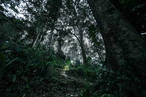 BIB: 
                            <button type="button" onclick="openModal(26209513)" class="btn btn-primary btn-sm float-right btn-popup" data-toggle="modal" data-target=".modal-high-quality">
                        <i class="fas fa-shopping-cart"></i> Add to Cart
                    </button>
                                            <button type="button" onclick="isThisMe(26209513, true)" class="btn btn-success btn-sm float-right btn-popup btn-isme hidden" data-toggle="tooltip" data-placement="bottom" title="นี่คือรูปของคุณใช่ไหม คลิกที่นี่เพื่อเอาเข้าอัลบั้ม">
                        <i class="fas fa-plus"></i> Add to album
                    </button>
                    <button type="button" onclick="isThisMe(26209513, false)" class="btn btn-warning btn-sm float-right btn-popup btn-isnotme hidden">
                        <i class="fas fa-ban"></i> Remove from album
                    </button>