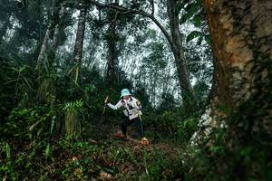 BIB: 
                            <button type="button" onclick="openModal(26209443)" class="btn btn-primary btn-sm float-right btn-popup" data-toggle="modal" data-target=".modal-high-quality">
                        <i class="fas fa-shopping-cart"></i> Add to Cart
                    </button>
                                            <button type="button" onclick="isThisMe(26209443, true)" class="btn btn-success btn-sm float-right btn-popup btn-isme hidden" data-toggle="tooltip" data-placement="bottom" title="นี่คือรูปของคุณใช่ไหม คลิกที่นี่เพื่อเอาเข้าอัลบั้ม">
                        <i class="fas fa-plus"></i> Add to album
                    </button>
                    <button type="button" onclick="isThisMe(26209443, false)" class="btn btn-warning btn-sm float-right btn-popup btn-isnotme hidden">
                        <i class="fas fa-ban"></i> Remove from album
                    </button>