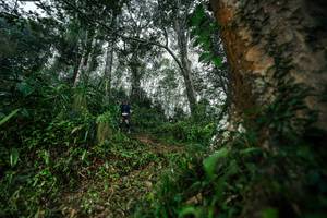 BIB: 
                            <button type="button" onclick="openModal(26208846)" class="btn btn-primary btn-sm float-right btn-popup" data-toggle="modal" data-target=".modal-high-quality">
                        <i class="fas fa-shopping-cart"></i> Add to Cart
                    </button>
                                            <button type="button" onclick="isThisMe(26208846, true)" class="btn btn-success btn-sm float-right btn-popup btn-isme hidden" data-toggle="tooltip" data-placement="bottom" title="นี่คือรูปของคุณใช่ไหม คลิกที่นี่เพื่อเอาเข้าอัลบั้ม">
                        <i class="fas fa-plus"></i> Add to album
                    </button>
                    <button type="button" onclick="isThisMe(26208846, false)" class="btn btn-warning btn-sm float-right btn-popup btn-isnotme hidden">
                        <i class="fas fa-ban"></i> Remove from album
                    </button>