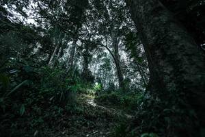 BIB: 
                            <button type="button" onclick="openModal(26209517)" class="btn btn-primary btn-sm float-right btn-popup" data-toggle="modal" data-target=".modal-high-quality">
                        <i class="fas fa-shopping-cart"></i> Add to Cart
                    </button>
                                            <button type="button" onclick="isThisMe(26209517, true)" class="btn btn-success btn-sm float-right btn-popup btn-isme hidden" data-toggle="tooltip" data-placement="bottom" title="นี่คือรูปของคุณใช่ไหม คลิกที่นี่เพื่อเอาเข้าอัลบั้ม">
                        <i class="fas fa-plus"></i> Add to album
                    </button>
                    <button type="button" onclick="isThisMe(26209517, false)" class="btn btn-warning btn-sm float-right btn-popup btn-isnotme hidden">
                        <i class="fas fa-ban"></i> Remove from album
                    </button>