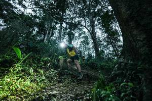 BIB: 
                            <button type="button" onclick="openModal(26209536)" class="btn btn-primary btn-sm float-right btn-popup" data-toggle="modal" data-target=".modal-high-quality">
                        <i class="fas fa-shopping-cart"></i> Add to Cart
                    </button>
                                            <button type="button" onclick="isThisMe(26209536, true)" class="btn btn-success btn-sm float-right btn-popup btn-isme hidden" data-toggle="tooltip" data-placement="bottom" title="นี่คือรูปของคุณใช่ไหม คลิกที่นี่เพื่อเอาเข้าอัลบั้ม">
                        <i class="fas fa-plus"></i> Add to album
                    </button>
                    <button type="button" onclick="isThisMe(26209536, false)" class="btn btn-warning btn-sm float-right btn-popup btn-isnotme hidden">
                        <i class="fas fa-ban"></i> Remove from album
                    </button>