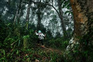 BIB: 
                            <button type="button" onclick="openModal(26209441)" class="btn btn-primary btn-sm float-right btn-popup" data-toggle="modal" data-target=".modal-high-quality">
                        <i class="fas fa-shopping-cart"></i> Add to Cart
                    </button>
                                            <button type="button" onclick="isThisMe(26209441, true)" class="btn btn-success btn-sm float-right btn-popup btn-isme hidden" data-toggle="tooltip" data-placement="bottom" title="นี่คือรูปของคุณใช่ไหม คลิกที่นี่เพื่อเอาเข้าอัลบั้ม">
                        <i class="fas fa-plus"></i> Add to album
                    </button>
                    <button type="button" onclick="isThisMe(26209441, false)" class="btn btn-warning btn-sm float-right btn-popup btn-isnotme hidden">
                        <i class="fas fa-ban"></i> Remove from album
                    </button>