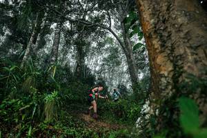 BIB: 
                            <button type="button" onclick="openModal(26209259)" class="btn btn-primary btn-sm float-right btn-popup" data-toggle="modal" data-target=".modal-high-quality">
                        <i class="fas fa-shopping-cart"></i> Add to Cart
                    </button>
                                            <button type="button" onclick="isThisMe(26209259, true)" class="btn btn-success btn-sm float-right btn-popup btn-isme hidden" data-toggle="tooltip" data-placement="bottom" title="นี่คือรูปของคุณใช่ไหม คลิกที่นี่เพื่อเอาเข้าอัลบั้ม">
                        <i class="fas fa-plus"></i> Add to album
                    </button>
                    <button type="button" onclick="isThisMe(26209259, false)" class="btn btn-warning btn-sm float-right btn-popup btn-isnotme hidden">
                        <i class="fas fa-ban"></i> Remove from album
                    </button>