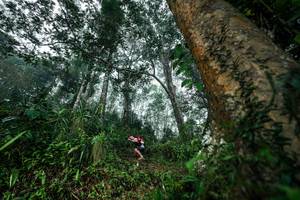 BIB: 
                            <button type="button" onclick="openModal(26208911)" class="btn btn-primary btn-sm float-right btn-popup" data-toggle="modal" data-target=".modal-high-quality">
                        <i class="fas fa-shopping-cart"></i> Add to Cart
                    </button>
                                            <button type="button" onclick="isThisMe(26208911, true)" class="btn btn-success btn-sm float-right btn-popup btn-isme hidden" data-toggle="tooltip" data-placement="bottom" title="นี่คือรูปของคุณใช่ไหม คลิกที่นี่เพื่อเอาเข้าอัลบั้ม">
                        <i class="fas fa-plus"></i> Add to album
                    </button>
                    <button type="button" onclick="isThisMe(26208911, false)" class="btn btn-warning btn-sm float-right btn-popup btn-isnotme hidden">
                        <i class="fas fa-ban"></i> Remove from album
                    </button>