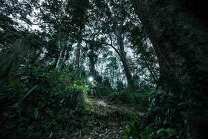 BIB: 
                            <button type="button" onclick="openModal(26209529)" class="btn btn-primary btn-sm float-right btn-popup" data-toggle="modal" data-target=".modal-high-quality">
                        <i class="fas fa-shopping-cart"></i> Add to Cart
                    </button>
                                            <button type="button" onclick="isThisMe(26209529, true)" class="btn btn-success btn-sm float-right btn-popup btn-isme hidden" data-toggle="tooltip" data-placement="bottom" title="นี่คือรูปของคุณใช่ไหม คลิกที่นี่เพื่อเอาเข้าอัลบั้ม">
                        <i class="fas fa-plus"></i> Add to album
                    </button>
                    <button type="button" onclick="isThisMe(26209529, false)" class="btn btn-warning btn-sm float-right btn-popup btn-isnotme hidden">
                        <i class="fas fa-ban"></i> Remove from album
                    </button>