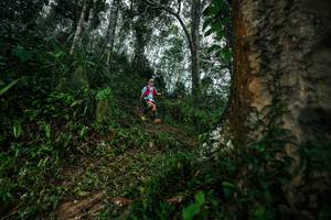 BIB: 
                            <button type="button" onclick="openModal(26208779)" class="btn btn-primary btn-sm float-right btn-popup" data-toggle="modal" data-target=".modal-high-quality">
                        <i class="fas fa-shopping-cart"></i> Add to Cart
                    </button>
                                            <button type="button" onclick="isThisMe(26208779, true)" class="btn btn-success btn-sm float-right btn-popup btn-isme hidden" data-toggle="tooltip" data-placement="bottom" title="นี่คือรูปของคุณใช่ไหม คลิกที่นี่เพื่อเอาเข้าอัลบั้ม">
                        <i class="fas fa-plus"></i> Add to album
                    </button>
                    <button type="button" onclick="isThisMe(26208779, false)" class="btn btn-warning btn-sm float-right btn-popup btn-isnotme hidden">
                        <i class="fas fa-ban"></i> Remove from album
                    </button>