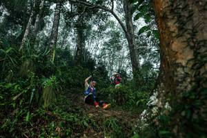 BIB: 
                            <button type="button" onclick="openModal(26209331)" class="btn btn-primary btn-sm float-right btn-popup" data-toggle="modal" data-target=".modal-high-quality">
                        <i class="fas fa-shopping-cart"></i> Add to Cart
                    </button>
                                            <button type="button" onclick="isThisMe(26209331, true)" class="btn btn-success btn-sm float-right btn-popup btn-isme hidden" data-toggle="tooltip" data-placement="bottom" title="นี่คือรูปของคุณใช่ไหม คลิกที่นี่เพื่อเอาเข้าอัลบั้ม">
                        <i class="fas fa-plus"></i> Add to album
                    </button>
                    <button type="button" onclick="isThisMe(26209331, false)" class="btn btn-warning btn-sm float-right btn-popup btn-isnotme hidden">
                        <i class="fas fa-ban"></i> Remove from album
                    </button>