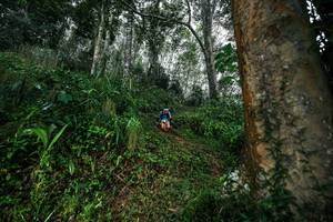 BIB: 
                            <button type="button" onclick="openModal(26208574)" class="btn btn-primary btn-sm float-right btn-popup" data-toggle="modal" data-target=".modal-high-quality">
                        <i class="fas fa-shopping-cart"></i> Add to Cart
                    </button>
                                            <button type="button" onclick="isThisMe(26208574, true)" class="btn btn-success btn-sm float-right btn-popup btn-isme hidden" data-toggle="tooltip" data-placement="bottom" title="นี่คือรูปของคุณใช่ไหม คลิกที่นี่เพื่อเอาเข้าอัลบั้ม">
                        <i class="fas fa-plus"></i> Add to album
                    </button>
                    <button type="button" onclick="isThisMe(26208574, false)" class="btn btn-warning btn-sm float-right btn-popup btn-isnotme hidden">
                        <i class="fas fa-ban"></i> Remove from album
                    </button>