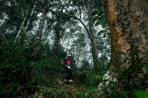 BIB: 
                            <button type="button" onclick="openModal(26209243)" class="btn btn-primary btn-sm float-right btn-popup" data-toggle="modal" data-target=".modal-high-quality">
                        <i class="fas fa-shopping-cart"></i> Add to Cart
                    </button>
                                            <button type="button" onclick="isThisMe(26209243, true)" class="btn btn-success btn-sm float-right btn-popup btn-isme hidden" data-toggle="tooltip" data-placement="bottom" title="นี่คือรูปของคุณใช่ไหม คลิกที่นี่เพื่อเอาเข้าอัลบั้ม">
                        <i class="fas fa-plus"></i> Add to album
                    </button>
                    <button type="button" onclick="isThisMe(26209243, false)" class="btn btn-warning btn-sm float-right btn-popup btn-isnotme hidden">
                        <i class="fas fa-ban"></i> Remove from album
                    </button>