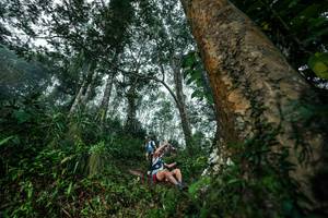 BIB: 
                            <button type="button" onclick="openModal(26208928)" class="btn btn-primary btn-sm float-right btn-popup" data-toggle="modal" data-target=".modal-high-quality">
                        <i class="fas fa-shopping-cart"></i> Add to Cart
                    </button>
                                            <button type="button" onclick="isThisMe(26208928, true)" class="btn btn-success btn-sm float-right btn-popup btn-isme hidden" data-toggle="tooltip" data-placement="bottom" title="นี่คือรูปของคุณใช่ไหม คลิกที่นี่เพื่อเอาเข้าอัลบั้ม">
                        <i class="fas fa-plus"></i> Add to album
                    </button>
                    <button type="button" onclick="isThisMe(26208928, false)" class="btn btn-warning btn-sm float-right btn-popup btn-isnotme hidden">
                        <i class="fas fa-ban"></i> Remove from album
                    </button>