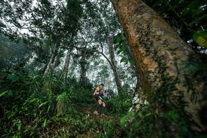 BIB: 
                            <button type="button" onclick="openModal(26208916)" class="btn btn-primary btn-sm float-right btn-popup" data-toggle="modal" data-target=".modal-high-quality">
                        <i class="fas fa-shopping-cart"></i> Add to Cart
                    </button>
                                            <button type="button" onclick="isThisMe(26208916, true)" class="btn btn-success btn-sm float-right btn-popup btn-isme hidden" data-toggle="tooltip" data-placement="bottom" title="นี่คือรูปของคุณใช่ไหม คลิกที่นี่เพื่อเอาเข้าอัลบั้ม">
                        <i class="fas fa-plus"></i> Add to album
                    </button>
                    <button type="button" onclick="isThisMe(26208916, false)" class="btn btn-warning btn-sm float-right btn-popup btn-isnotme hidden">
                        <i class="fas fa-ban"></i> Remove from album
                    </button>