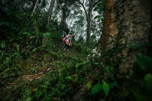 BIB: 
                            <button type="button" onclick="openModal(26208679)" class="btn btn-primary btn-sm float-right btn-popup" data-toggle="modal" data-target=".modal-high-quality">
                        <i class="fas fa-shopping-cart"></i> Add to Cart
                    </button>
                                            <button type="button" onclick="isThisMe(26208679, true)" class="btn btn-success btn-sm float-right btn-popup btn-isme hidden" data-toggle="tooltip" data-placement="bottom" title="นี่คือรูปของคุณใช่ไหม คลิกที่นี่เพื่อเอาเข้าอัลบั้ม">
                        <i class="fas fa-plus"></i> Add to album
                    </button>
                    <button type="button" onclick="isThisMe(26208679, false)" class="btn btn-warning btn-sm float-right btn-popup btn-isnotme hidden">
                        <i class="fas fa-ban"></i> Remove from album
                    </button>